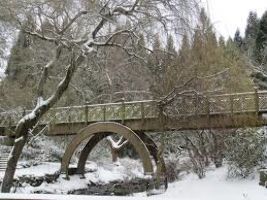 Crystal Springs Rhododendron Garden 