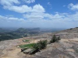Horsley Hills