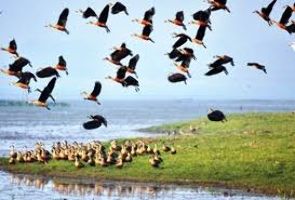 Nameri National Park