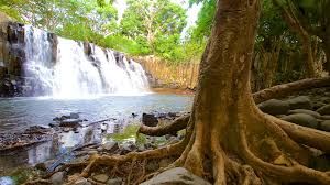 Black River Gorges National Park