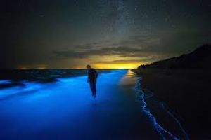 Tusan Beach