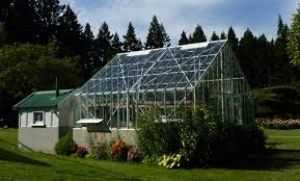Queen s Garden