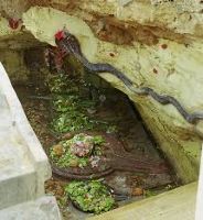 Gangeshwar Mahadev Temple 