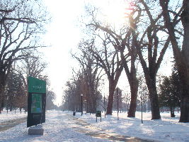 Liberty Park