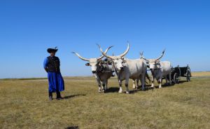 Hortobagy National Park