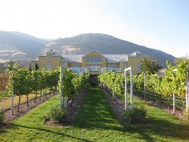 Tinhorn Creek Vineyards