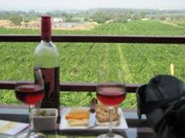 Nashik Wine Tour at Soma