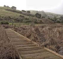 Coyote Hills Regional Park and Alameda Creek Trail
