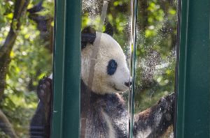 Vienna Zoo- Tiergarten Schonbrunn