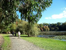 Victoria Square & Leamington Domain
