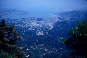 Mount Tamalpais State Park 
