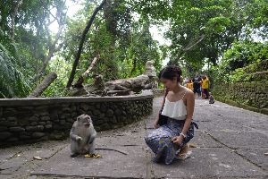 Ubud Monkey Forest
