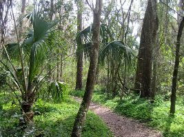 Bivens Arm Nature Park