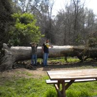 Kaweah Oaks Preserve