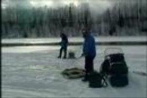 Go Fishing