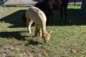 Forsyth Nature Center