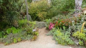 garden of fragrance