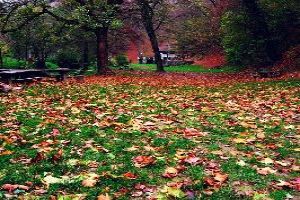 Watch natures bounty in Fruska Gora