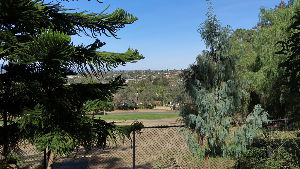 Alta Vista Botanical Gardens 