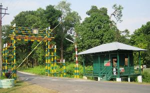 The Buxa Tiger Reserve