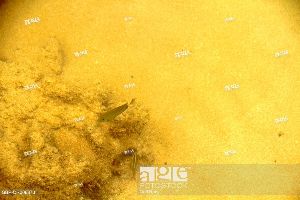 Red Sand Marine State Park