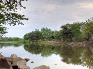 Gorewada Lake