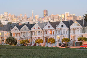 Painted Ladies 