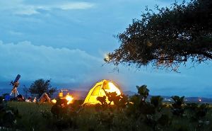 Bon Fire and Stargazing Experience 