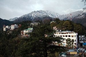 Naddi Village 