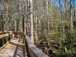 Morningside Nature Center