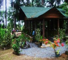 Katey s Healing Garden