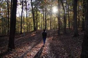 Jonathan Eshenour Memorial Trail 