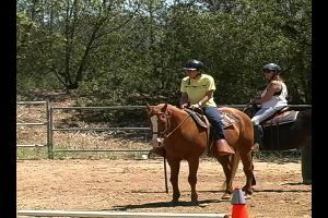 Experience Horse Riding