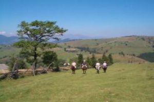 Horse Ride Adventure