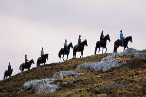 Exploring On a Horse Back