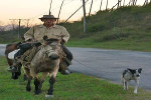 Horse Riding: Through Beautiful Countryside
