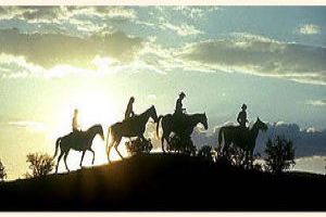 Passionate Horse Riding