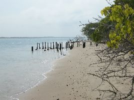 Kurusadai Island