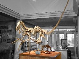 USU Eastern Prehistoric Museum