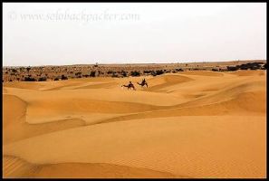 Sam Sand Dunes