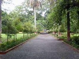 Maharaj Bagh and zoo