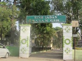 Sasan Gir Museum 