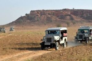 Jeep safari in Pushkar