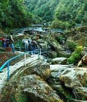 Rock garden 