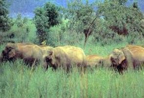 Namdapha National Park