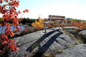 Laurier Woods Conversation Area