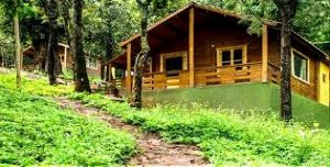 Coffee Plantation Stay