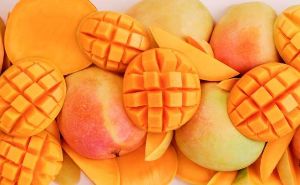 Mango Festival in Gir