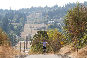 Mount Williams Park 