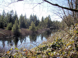 Danville Georgetown Open Space 